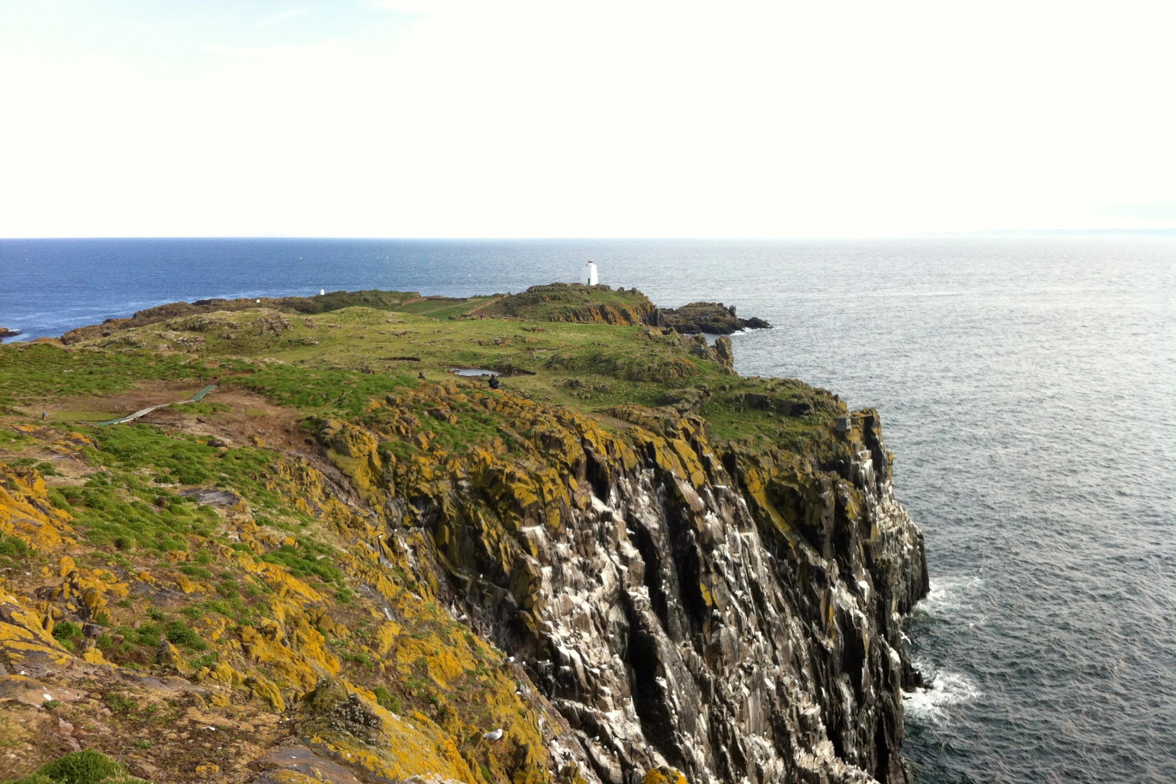 Isle_of_May[1].webp